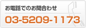 お電話でのお問合わせ 03-5209-1173