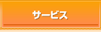 �T�[�r�X